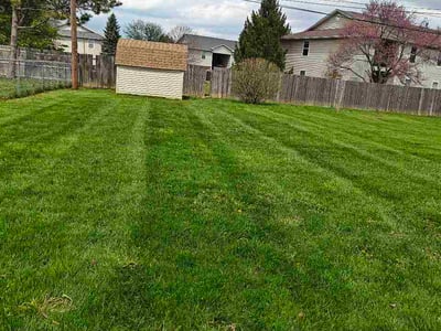 Lawn Care service in Voorhees, 08043