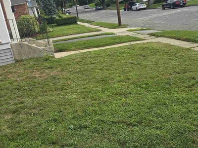 Lawn Care service in Millbury, 01527
