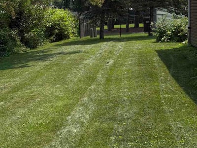 Lawn Care service in Bartlett, 60103