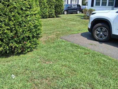 Lawn Care service in West Springfield, 01089