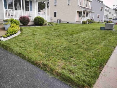 Lawn Care service in West Springfield, 01089