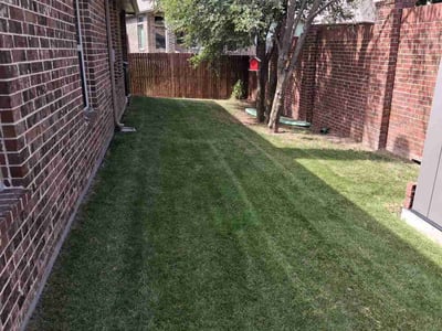 Lawn Care service in Ridgecrest, 93555