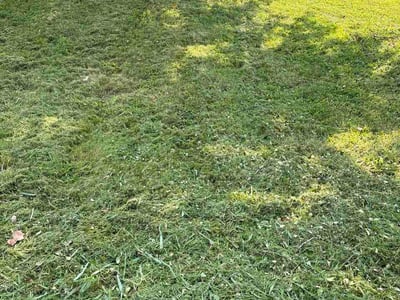 Lawn Care service in Pacific, 63069