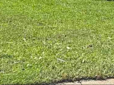 Lawn Care service in Pacific, 63069