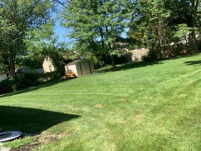 Lawn Care service in Sicklerville, 08081
