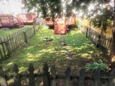 Lawn Care service in Halethorpe, 21227