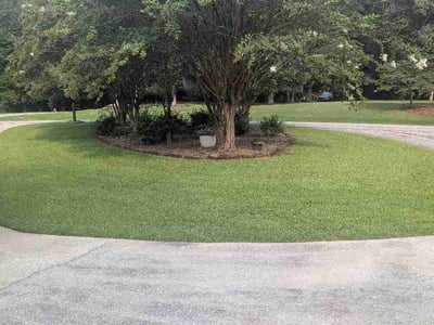 Lawn Care service in Pell City, 35125