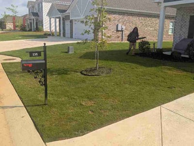 Lawn Care service in Pell City, 35125