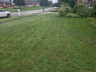 Lawn Care service in Lexington, 02420