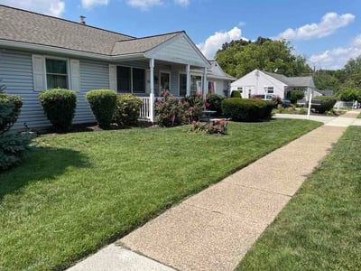 Lawn Care service in Cherry Hill, 08002