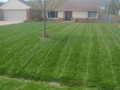 Lawn Care service in Greendale, 53129