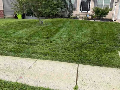 Lawn Care service in Abingdon, 21009