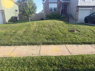 Lawn Care service in Blue Springs, 64015