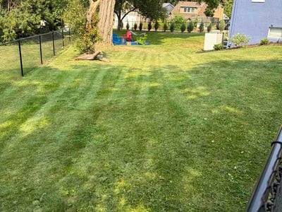 Lawn Care service in Twin Cities, 55406