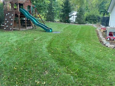 Lawn Care service in Ferndale, 48220