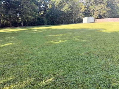 Lawn Care service in Breaux Bridge, 70517