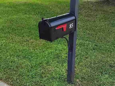 Lawn Care service in Somerville, 02143