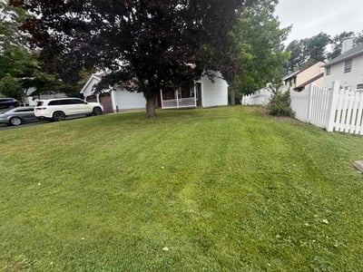 Lawn Care service in Willingboro, 08046
