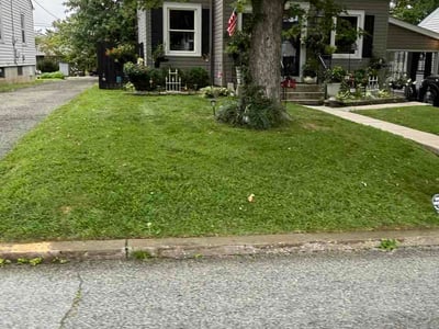Lawn Care service in Bolivar, 65613