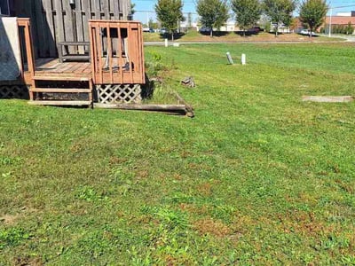Lawn Care service in Franklin, 02038