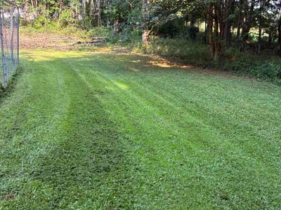 Lawn Care service in Wayland, 01778