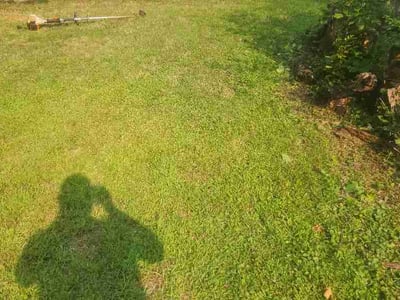 Lawn Care service in Roseville, 55113