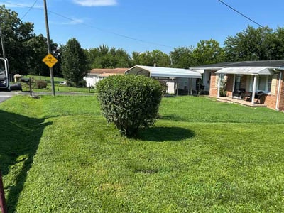 Lawn Care service in Burlington, 01803