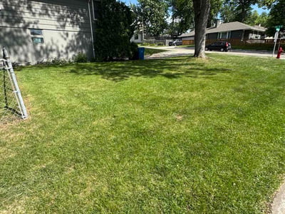 Lawn Care service in Hopkins, 55343