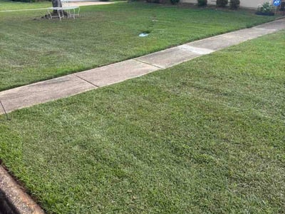 Lawn Care service in Pearl, 39208