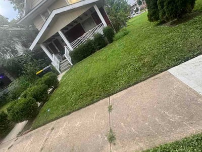 Lawn Care service in Parkville, 64152