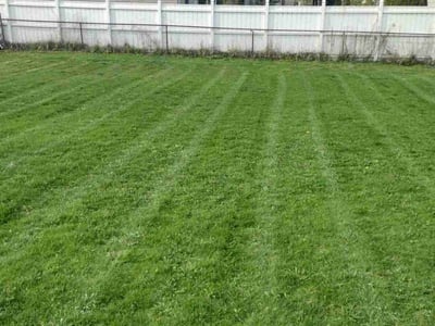 Lawn Care service in West Bloomfield, 48323