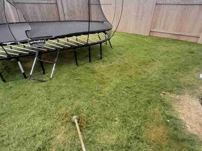Lawn Care service in Brockton, 02301