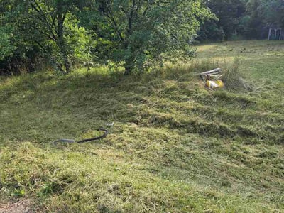 Lawn Care service in Flushing, 48433
