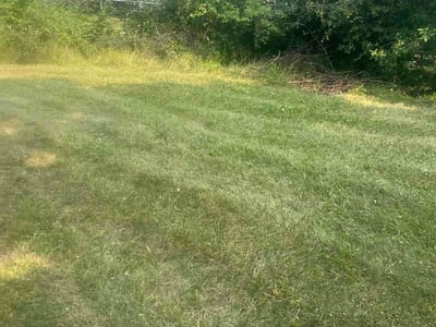 Lawn Care service in Flushing, 48433