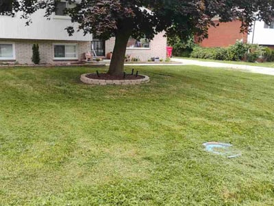 Lawn Care service in Howell, 48843