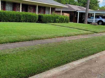 Lawn Care service in Bossier City, 71111