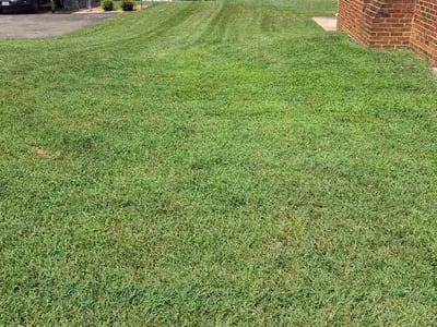 Lawn Care service in Salem, 01970