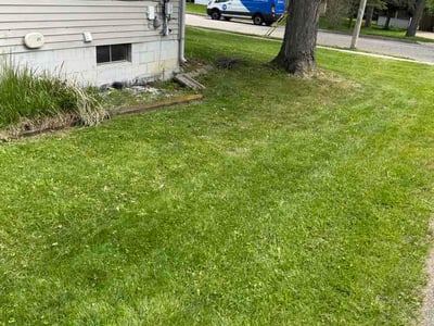 Lawn Care service in Okemos, 48864