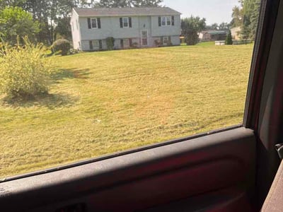 Lawn Care service in Lockport, 14094