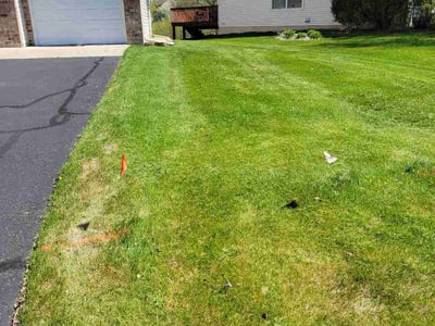 Lawn Care service in Hastings, 55033