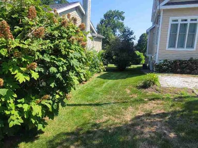 Lawn Care service in Hingham, 02043