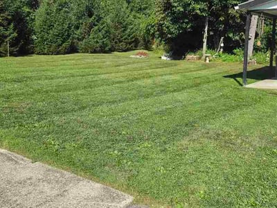 Lawn Care service in Lockport, 14094