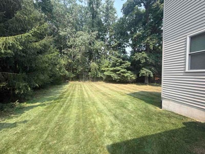 Lawn Care service in Mason, 48854