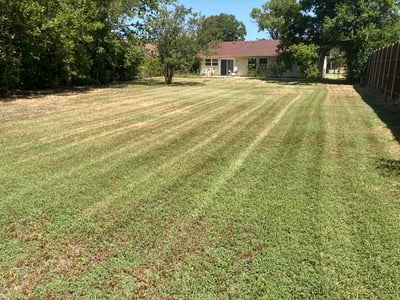 Lawn Care service in Westford, 01886