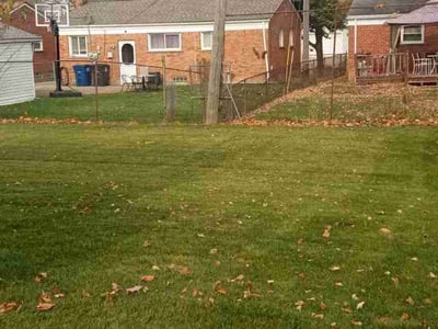 Lawn Care service in Marshfield, 02050