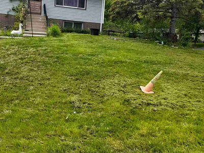 Lawn Care service in Blaine, 55434