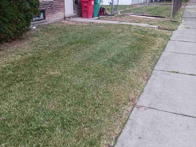 Lawn Care service in Macomb, 48044
