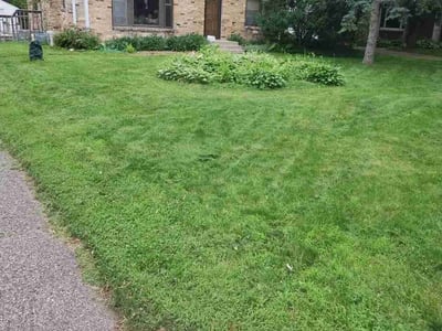 Lawn Care service in Bloomington, 55431