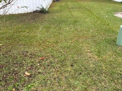 Lawn Care service in Norwood, 02062