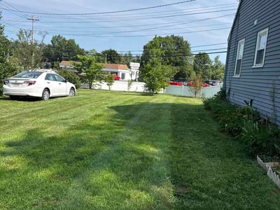 Lawn Care service in Weymouth, 02188